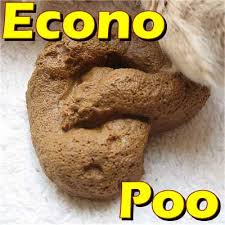 Our very best Econo Fake Dog  Poo  