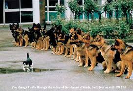 self confidence Imitate Self