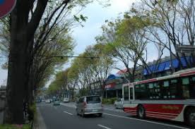 青梅街道を歩く－東海道放浪記
