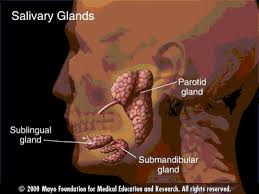 but mumps may attack persons of
