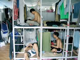 the 15 bed mixed dorm with no