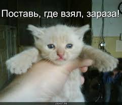 зараза