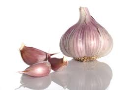 Garlic  does not contain fiber