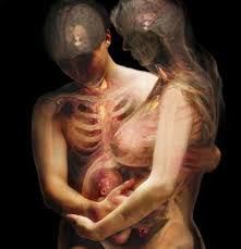 The Human Body Revealed at the