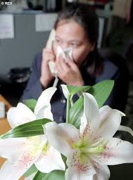      cure for  hay fever   and asthma