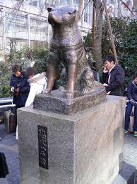 Images Animals  Japanese Dog Akita      