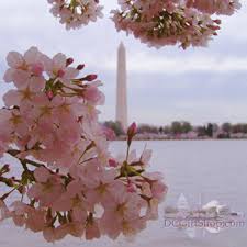 Washington Monument near - via Daymix