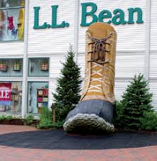 Llbean icon
