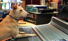 Studio