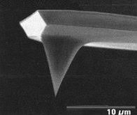The Atomic Force Microscope  AFM   is    