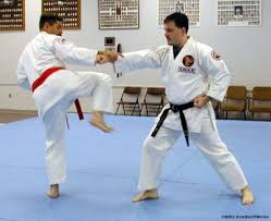 Martial Arts History