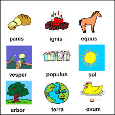 ADVANCED  LATIN LANGUAGE  