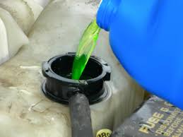 has  antifreeze poisoning ,