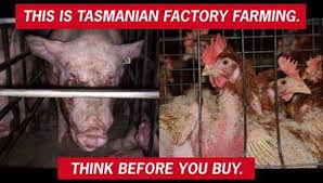FACTORY FARMING IS: