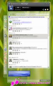 Forget about  Windows Live Messenger      
