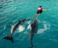 Bahamas, - via Daymix