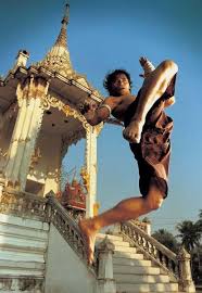 Muay Thai Knees Techniques