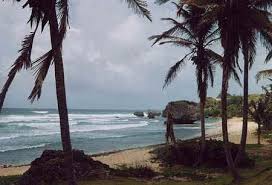 Barbados Summer Institute - via Daymix
