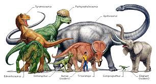 Dinosaur Types - via Daymix