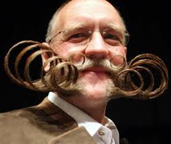 15 Most Bizarre Beards