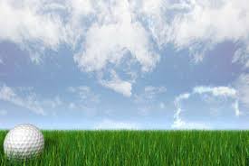 golf ball on grass.jpg