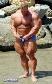   body    builder   jpg
