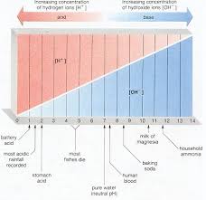  Acidosis  base pH graphic