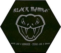 Black Mamba - via Daymix