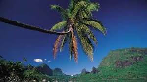 Deals Discount Vacation - via Daymix