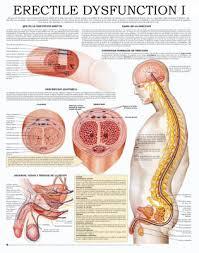 Erectile Dysfunction I code CH5063