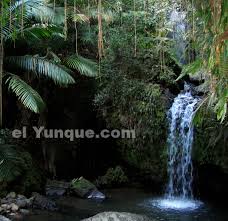 Juan Diego waterfall in the  El      