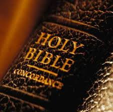 Which  Bible   Can We Trust 