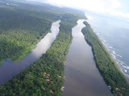 Tortuguero  Canal  
