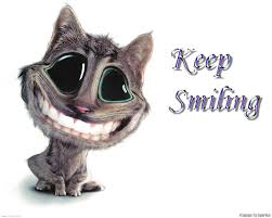   Funny Animal   Pictures