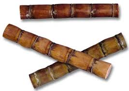 Sugar Cane Sticks