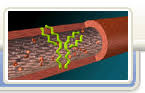  Ammonium hydroxide poisoning  -