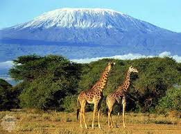 Kilimanjaro - via Daymix