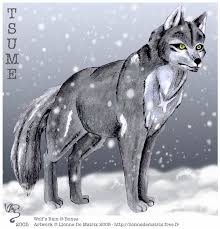   Wolf x26s rain   fan art Kiba