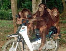 Boring   Aksi Mat Rempit   di Melaka