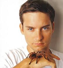 Image Spider Man star Tobey Maguire Picture