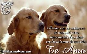      para el  d a de   los  Enamorados  