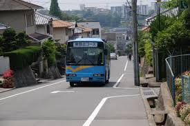 862223e7.jpg