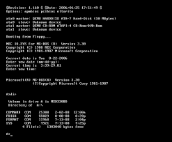 MS DOS (2 of 7) - via Daymix