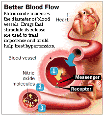      mechanism of  sildenafil citrate  