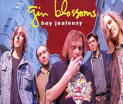 Gin Blossoms Image Hey Jealousy Picture 0