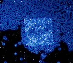 Title: Rhapsody in Blue