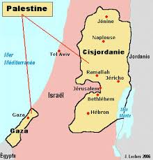 Palestine icon