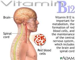  Vitamin B12  benefits