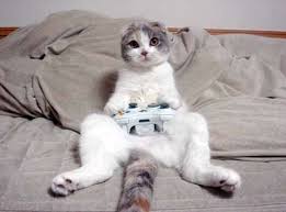9 Responses to ZOMG  CRAZY CAT      