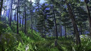 x26quot Boreal x26quot by Norbert Kern 2004